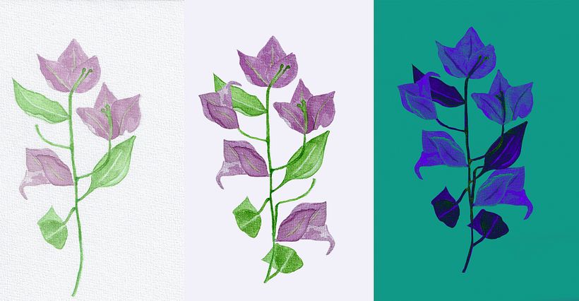 Mi Proyecto del curso: Ilustración botánica con acuarela 2