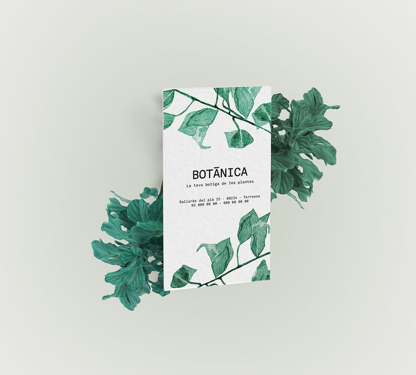 Mi Proyecto del curso: Ilustración botánica con acuarela 0