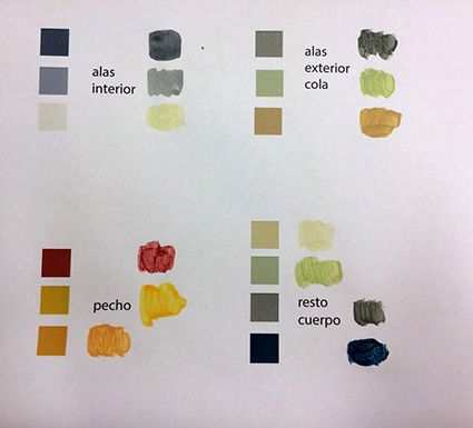 Mi Proyecto del curso: Un petirrojo 6