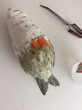 Mi Proyecto del curso: Un petirrojo 2