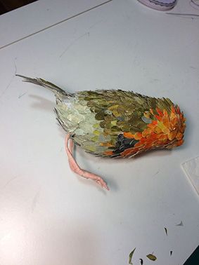 Mi Proyecto del curso: Un petirrojo 4