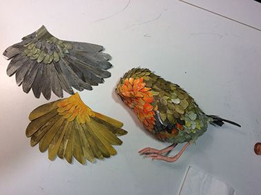 Mi Proyecto del curso: Un petirrojo 5
