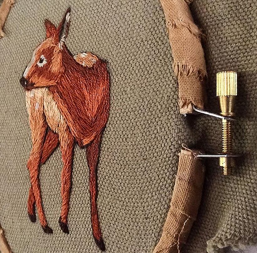 Bambi 6