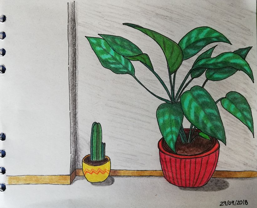 Mi Proyecto del curso: Dibujo para principiantes nivel -1 0