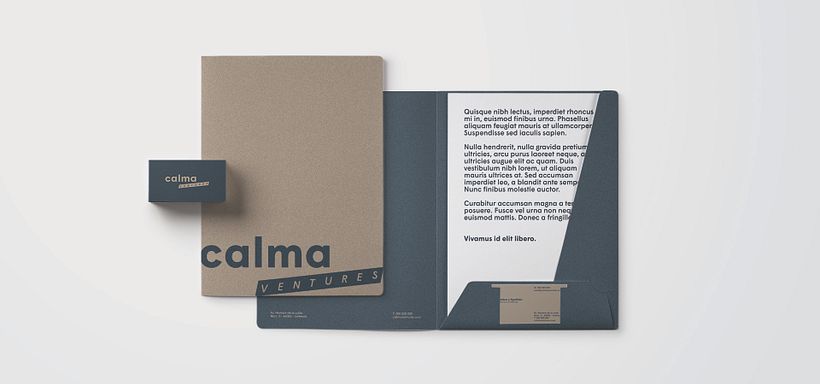 Calma Ventures 2