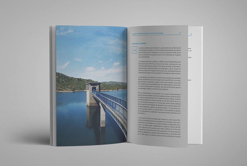 MEMORIA ANUAL EMASESA 2015 4