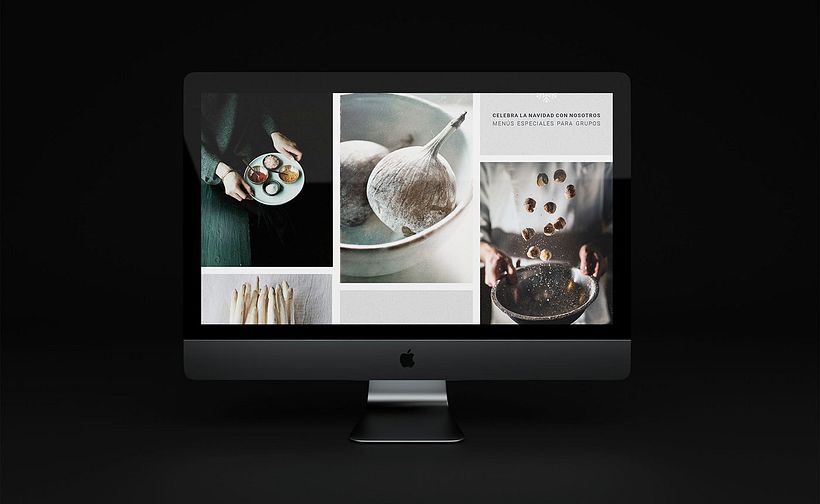 EQUIPO MPUNTOR WEB 1