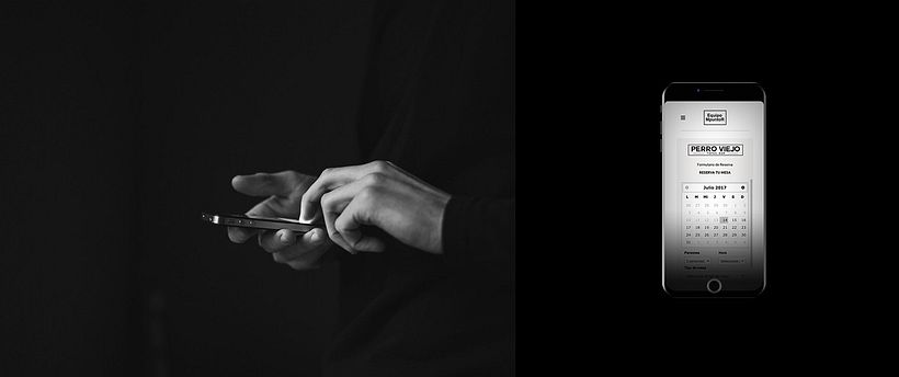 EQUIPO MPUNTOR WEB 5