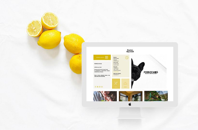 EQUIPO MPUNTOR WEB 8