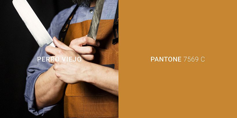 EQUIPO MPUNTOR WEB 6