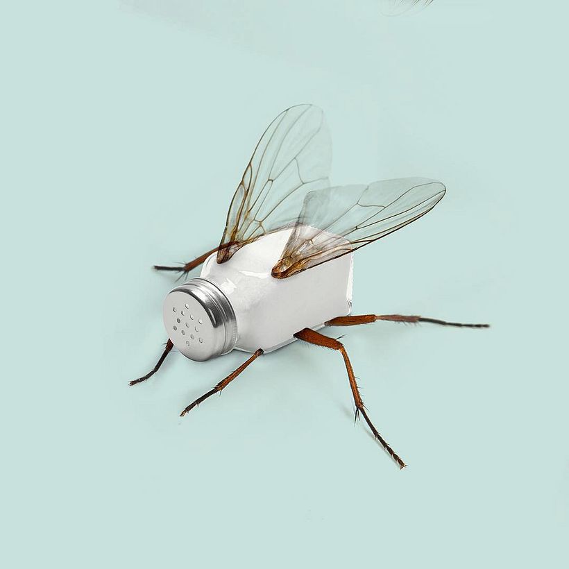 Collages fotográficos surrealistas para cada día 5