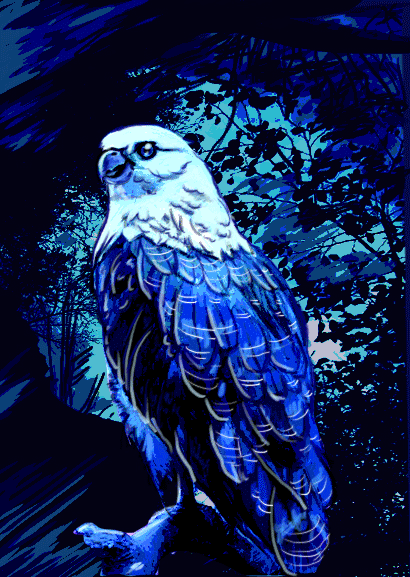 Gif Project 0