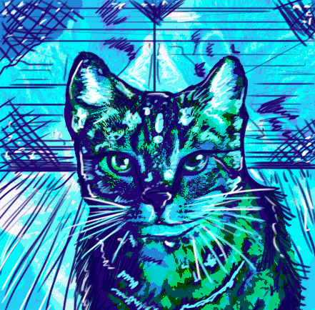 Gif Project 1