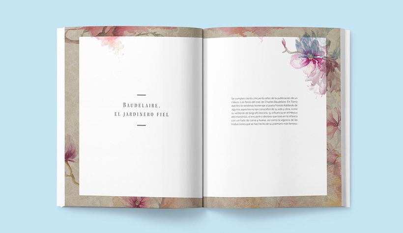 Revista Tierra Adentro (2017) 12