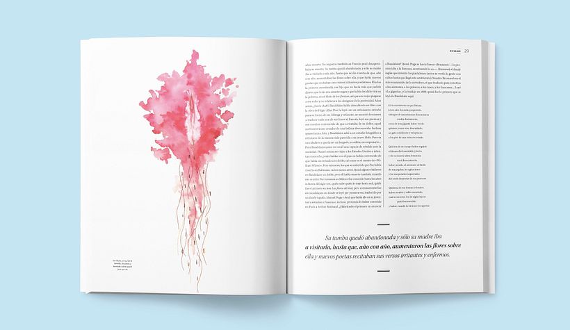 Revista Tierra Adentro (2017) 13