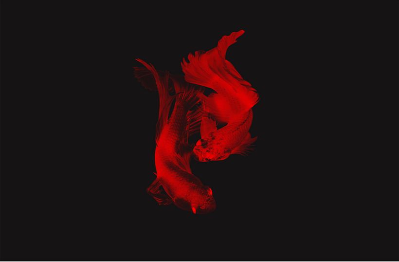 36 Days Of Type 2017 7