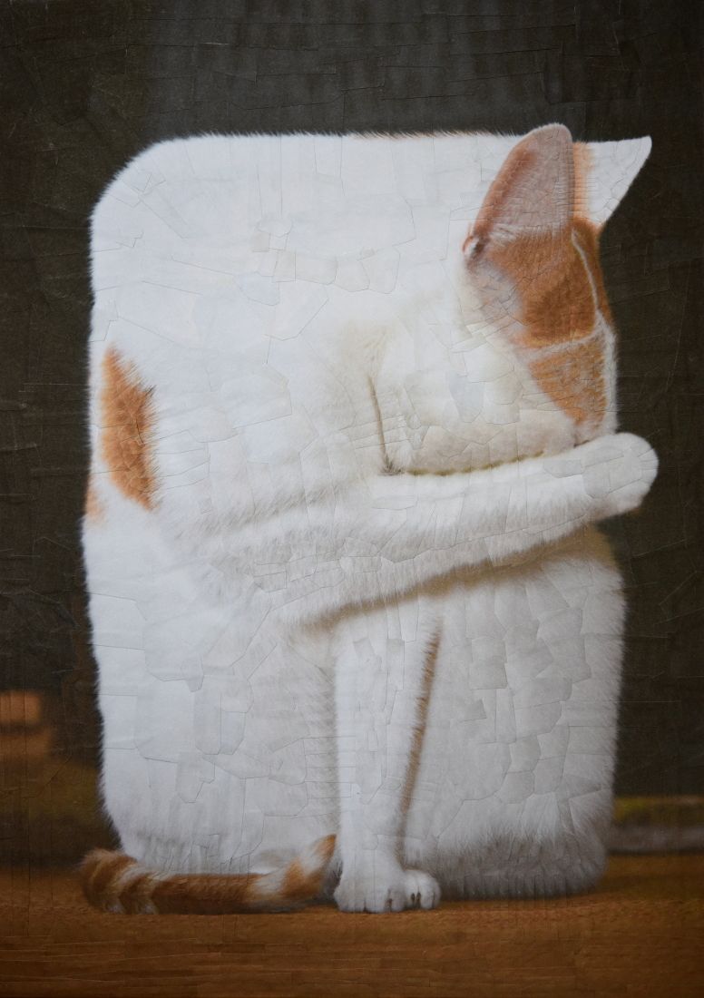 Charlie IV - Charlie X 3