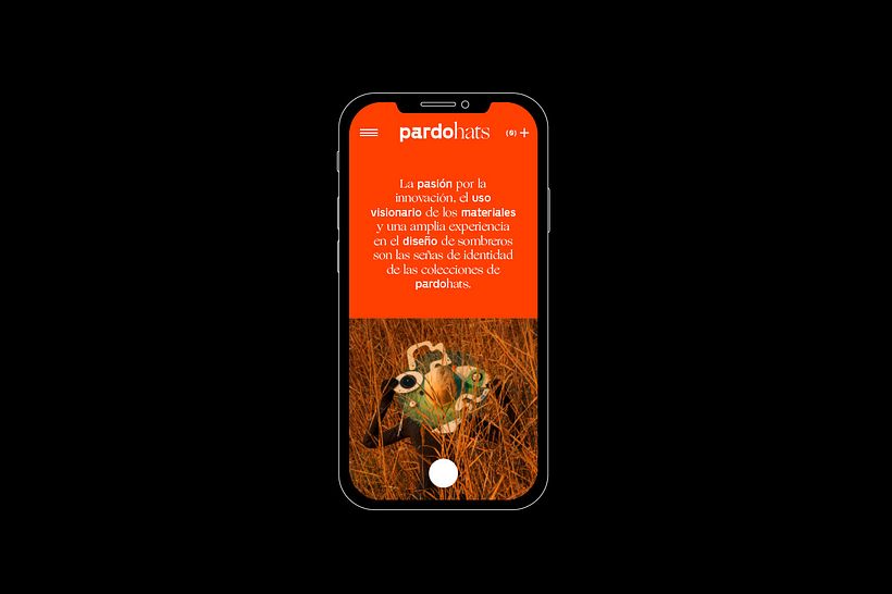 Pardohats 26