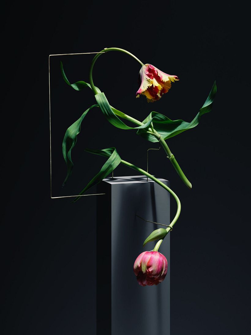 La danza de la muerte floral retratada por Carl Kleiner 3