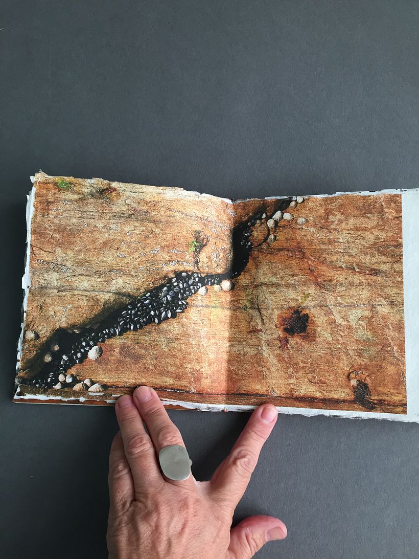 Libro de arena con hoja roja - Diseño