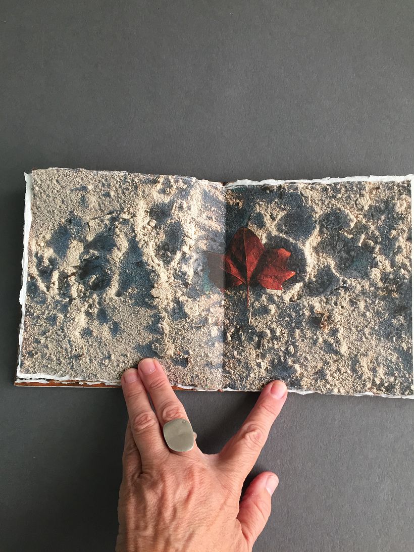Libro de arena con hoja roja - Diseño