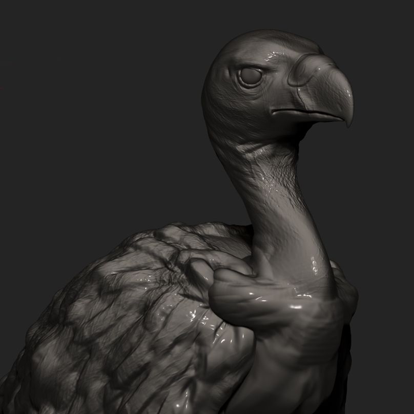ZBRUSH 1