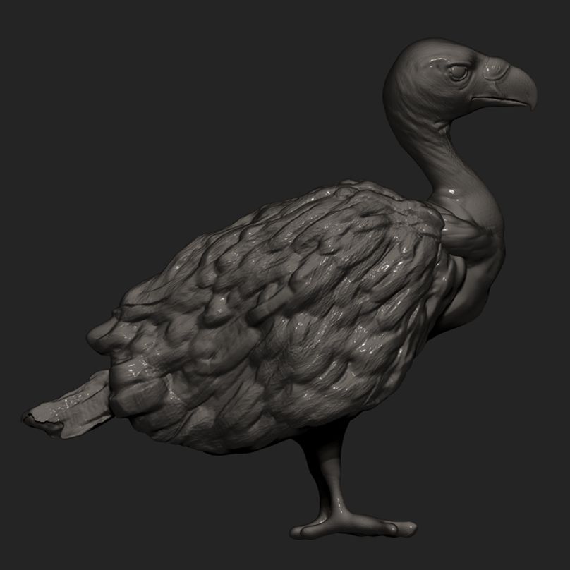 ZBRUSH 2