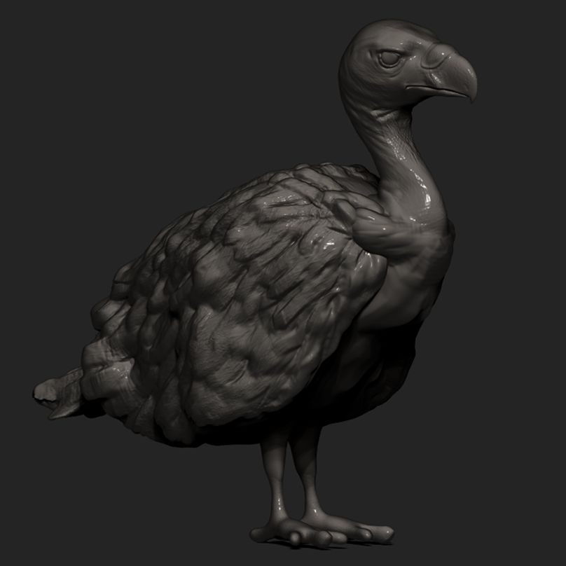 ZBRUSH 3