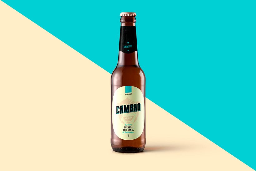 Cerveza Artesanal 2