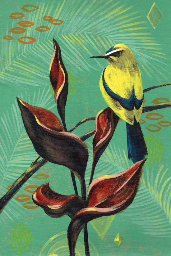 Pinturas Botánicas 5