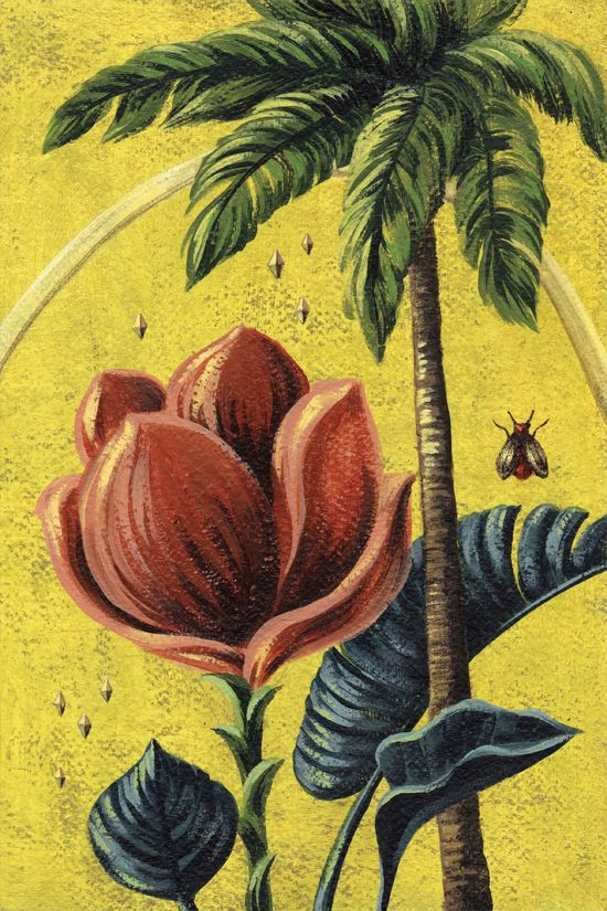 Pinturas Botánicas 6