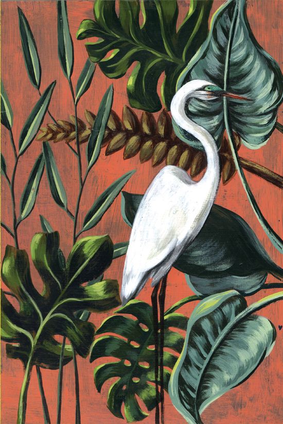 Pinturas Botánicas 7