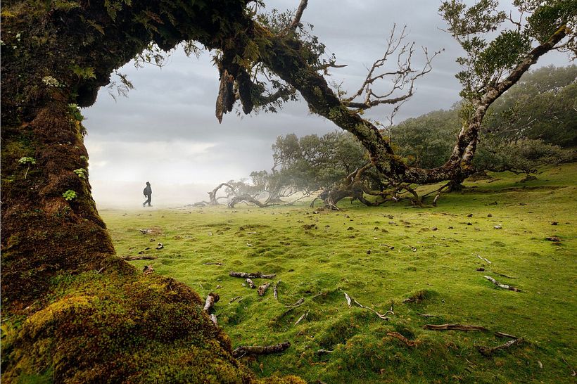 Conoce las mejores fotografías del año en Instagram según los premios PIPA 9