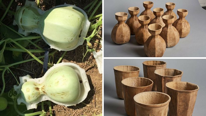 El diseño como solución para los problemas globales de agua 5