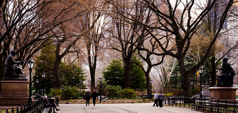Mi Nueva York 7