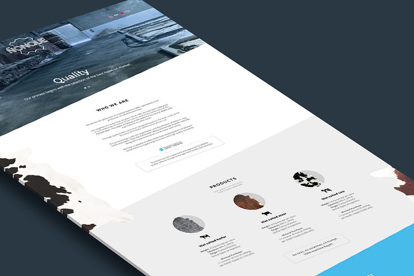Portfolio Interfaces Web 7
