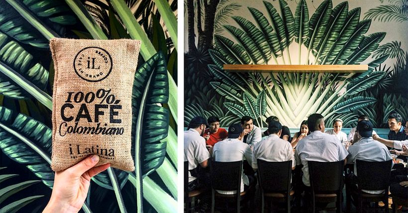 Mural Traveler Palm 4