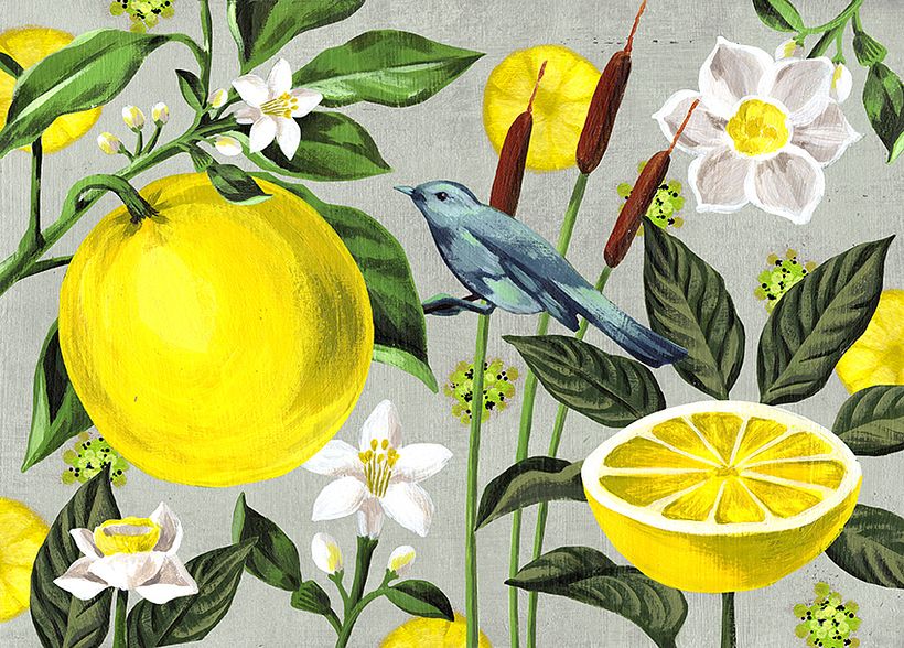 Calendario Revista Jardín 4