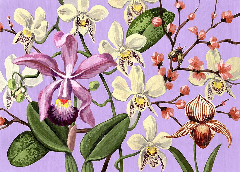 Calendario Revista Jardín 5