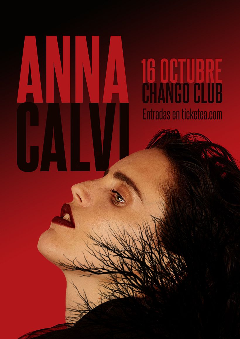 Mi Proyecto del curso: Diseño de carteles para eventos musicales 1