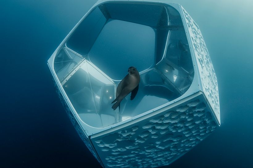 Caleidoscopios submarinos para salvar el océano 6