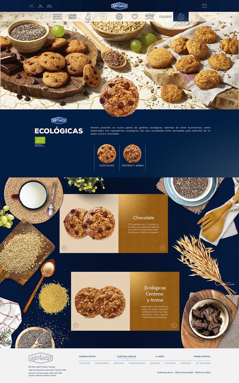 Website Galletas Artiach 0