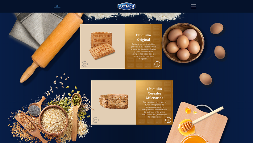 Website Galletas Artiach 3
