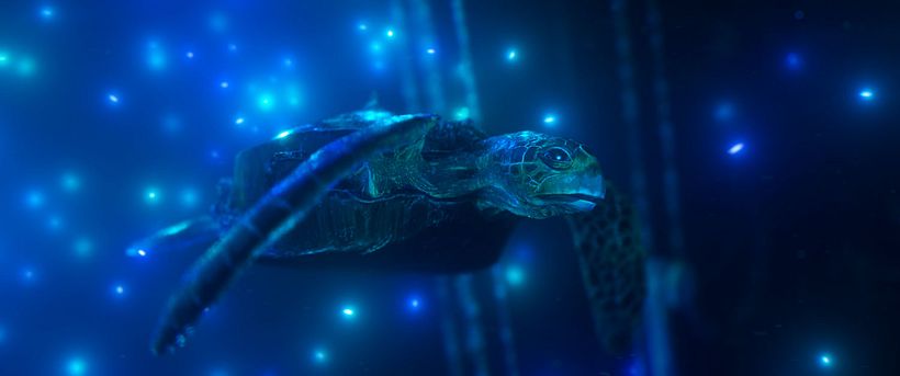 'Hybrid', un corto de animación para salvar los océanos 3