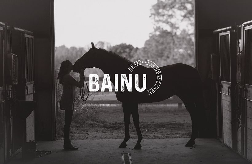 Diseño de Marca y Etiquetas - Shampoo Orgánico Equino. 0