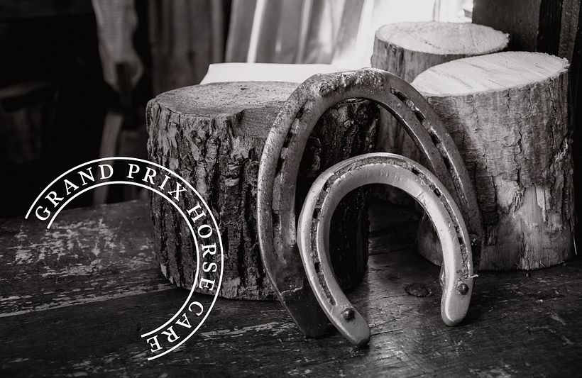 Diseño de Marca y Etiquetas - Shampoo Orgánico Equino. 10