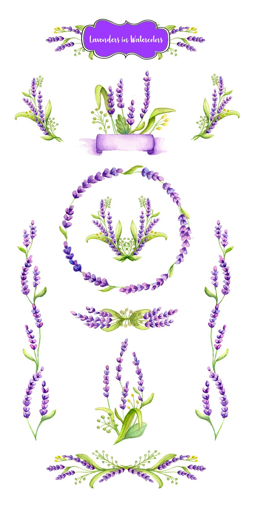 Flores Lavandas 1