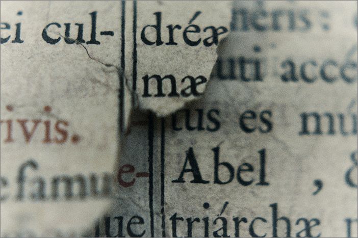 Neumas - Fotografia