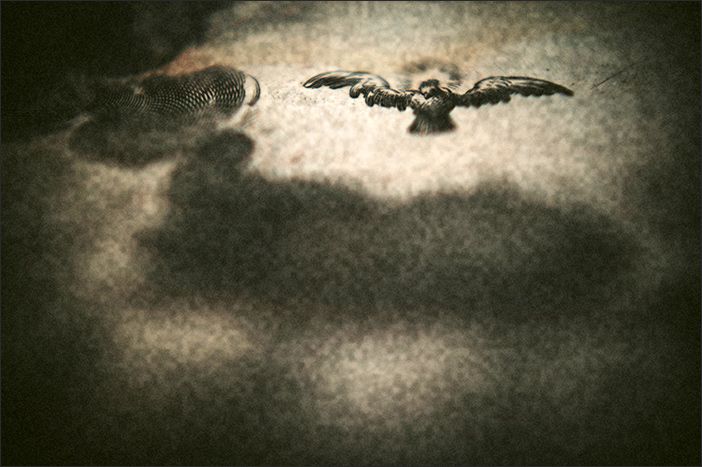 Neumas - Fotografia