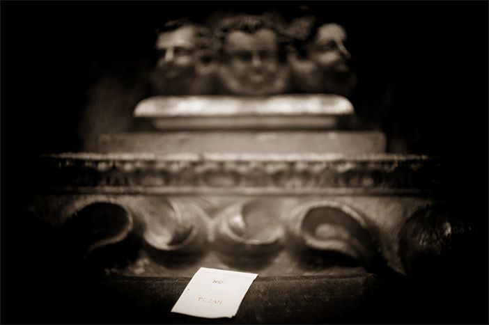 Neumas - Fotografia